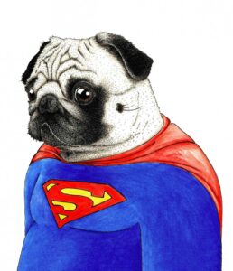 illustrator-creator-bern-supermobbing-ginadraws-plush74