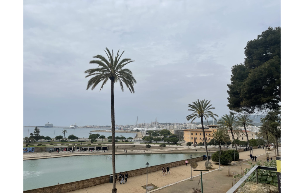 Palma de Mallorca old town rooftops with La Seu cathedral on the harbour — production location in the city